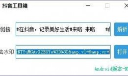 抖音视频爆料箱,揭秘热门视频背后的秘密