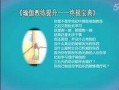 爆料网站视频大全免费,免费观看热门爆料的独家秘籍
