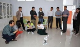 平乡学校事件爆料视频,揭露校园暴力真相