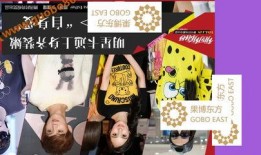 爆料缅甸果敢视频播放,视频揭露战火无情