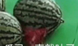 吃瓜头像免费,免费吃瓜头像，轻松打造个性形象