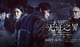 无证之罪电视剧在线观看免费观看,揭秘罪案背后的真相，免费在线观看！