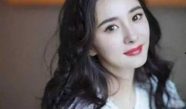 杨幂热点爆料视频合集,揭秘明星幕后故事