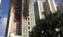 深圳新闻网爆料,揭秘背后惊人真相