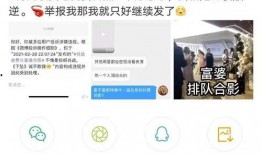 枞阳黑粉爆料视频大全集,视频大全集深度解析