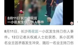 缅北知情人爆料视频大全,知情人爆料视频大全深度解析