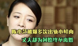 陈小艺出轨爆料视频,真相与争议