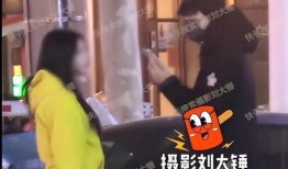 刘大锤爆料渣男视频大全,视频大全曝光惊人内幕