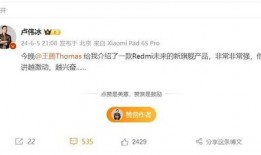 今日爆料卢伟冰简介,揭秘科技行业新动向！”