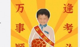 网红爆料明星翻车视频,明星翻车视频引发热议，真相曝光令人震惊