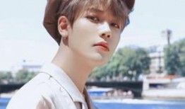 明星爆料林彦俊视频,揭秘明星私生活幕后真相