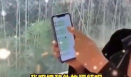 张兰被爆料录音视频大全,揭秘事件全貌与各方反应