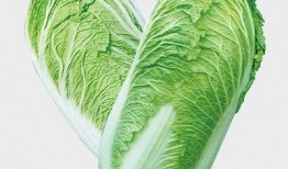 吉林大白菜爆料视频大全,揭秘田间地头新鲜事