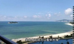 网红湾湾爆料视频,揭秘幕后真相