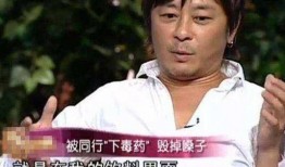 天涯卓伟爆料王杰视频,揭秘娱乐圈不为人知的真相