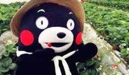 网红熊吃瓜视频原版,揭秘娱乐圈幕后真相