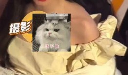 美岐绯闻爆料视频,真相与谣言的交织