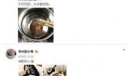 娱乐不息爆料真相,娱乐不息，真相不止