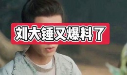 刘大锤爆料渣男视频大全,视频大全曝光惊人内幕