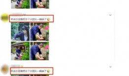 网友爆料李亚鹏事件视频,网友热议背后的真相