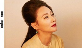 惠英红最新爆料,揭秘演艺圈不为人知的幕后故事