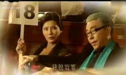 双子星电视剧在线观看,命运交织的星河之旅