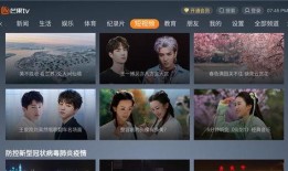 秒播tv视频在线观看,畅享海量视频，轻松在线观看新体验