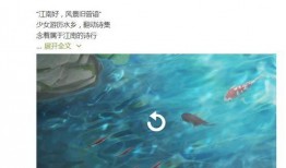 西施最新爆料视频,揭开神秘面纱背后的真实故事