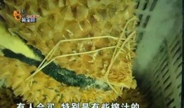 网红吃瓜猛料黄料腿环,吃瓜猛料背后的黄料腿环风云