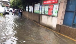 解放路学校爆料视频最新,揭秘校园内幕，引发社会关注